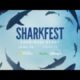 Sharkfest 2024