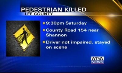 Pedestrian hit, killed near Shannon