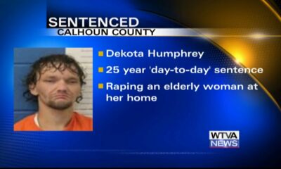 Calhoun County rape suspect receives prison sentence