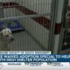 Humane Society of South Mississippi partners with PetSmart for adoption special