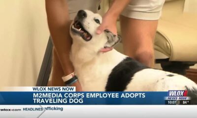 Happy Tails: Local media company employee adopts dog after escaping from home three times