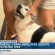 Happy Tails: Local media company employee adopts dog after escaping from home three times