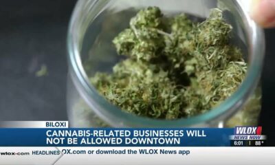 Biloxi City Council votes against cannabis-related businesses in downtown area