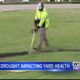 Drought takes a toll on north Mississippi yards