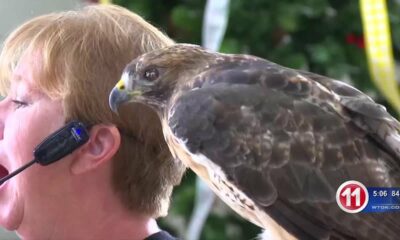 Freedom Ranch Wildlife Center Program: Owls and Friends