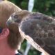 Freedom Ranch Wildlife Center Program: Owls and Friends