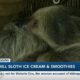 Wiggins ice cream shop aims to stop animal trafficking