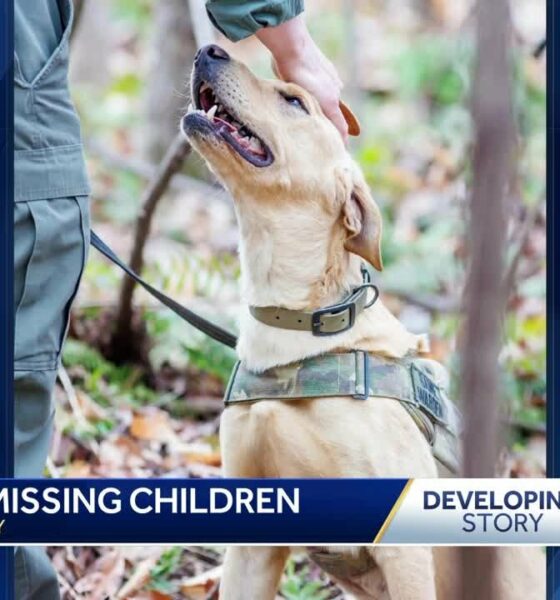 K9 finds children who went missing on Thursday