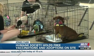 Humane Society of South Mississippi holds free vaccinations, adoptions during Cops, Pops, Pups ev...