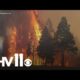 Park fire now one of the largest wildfires in California history