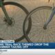 Cyclists fasten helmets for annual Bikes & Beaches Time Trial