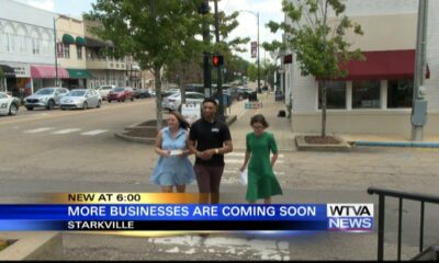 Several new businesses opening in Starkville in August