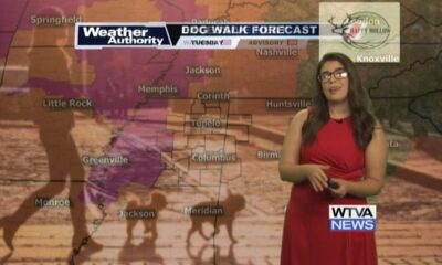 Dog Walk Forecast for July 30th – Hank