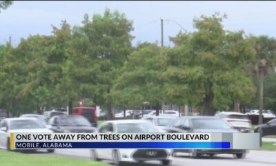 Friends of Mobile Trees pushing to plant trees along Airport Boulevard