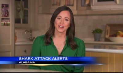 Alabama senator pushes for alerts for shark attacks