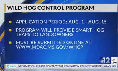 Applications available for August 2024 Wild Hog Control Program