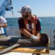 Work of MSU Shark Scientist Featured on Disney+ National Geographic Documentary
