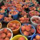 Cherry Creek Orchards’ Peach Festival