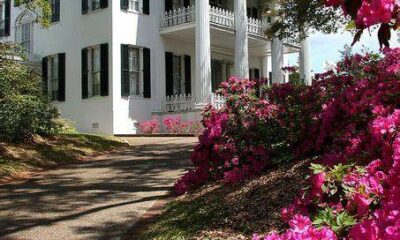 Three Mississippi Locations Rank as Top Weekend Escapes in the Country