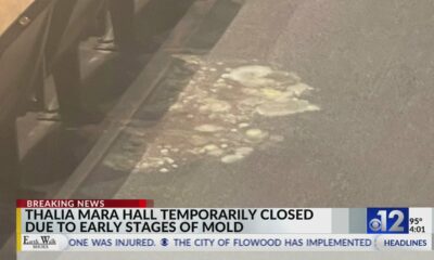 Thalia Mara Hall temporarily closed due to early stages of mold