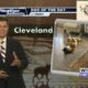 Dog Walk Forecast for Aug 2 - Cleveland