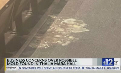 Concert promoter concerned about possible mold at Thalia Mara Hall