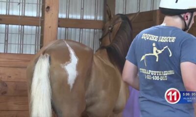 Coyote Hills hosts adaptive riding sessions for people with special needs