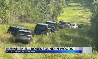 Human skull found in Mount Vernon: MCSO confirms