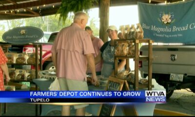 Farmers, hobbyists say crops growing well despite dry conditions