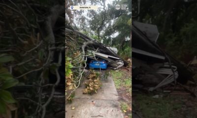 Tropical Storm Debby | Tree falls on car in Florida #TSdebby #weather #abcactionnews