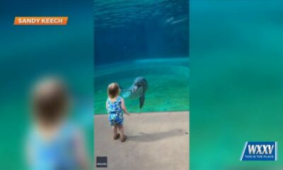 Meggan Monday: Little girl’s experience at Mississippi Aquarium goes viral!