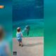 Meggan Monday: Little girl’s experience at Mississippi Aquarium goes viral!