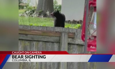 Bear sighting caught on camera in Monroe County