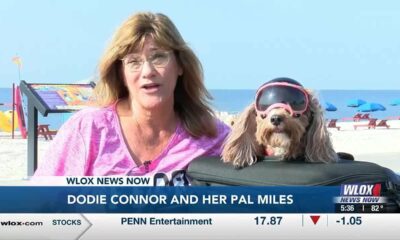 Woman finds healing in motorcycle rides with dog after husband’s death