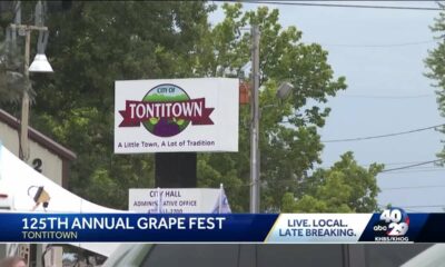 12th Annual Grape Fest