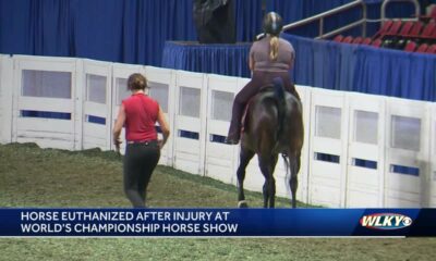 Horse euthanized after injury at World's Championship Horse Show