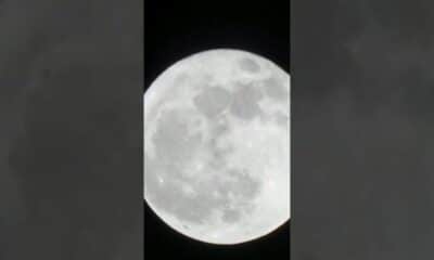 Blue supermoon stuns night skies