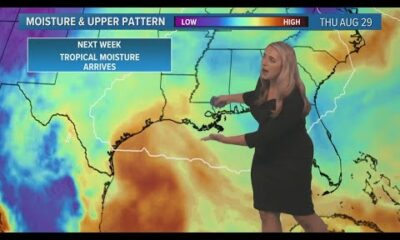 Friday Noon Tropics Update: Tropical moisture moves into Gulf of Mexico next week