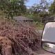 ‘It should’ve been done a long time ago’: Viewers get help for tree debris piling up since Derecho