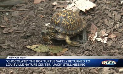 1 of 2 missing turtles returned to Louisville Nature Center