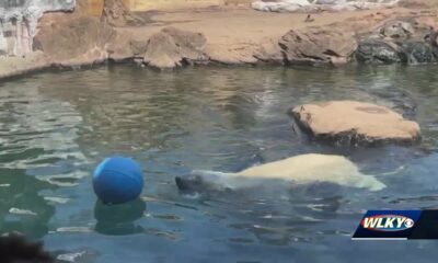 Louisville Zoo animals cool off with unique activity during World Water Day