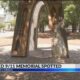 Part of 9/11 memorial sculpture in Pensacola missing