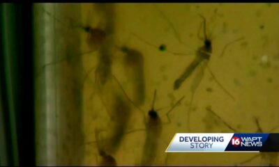 First West Nile death reported this year