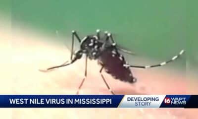 West Nile Virus cases increasing in Mississippi