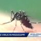 West Nile Virus cases increasing in Mississippi