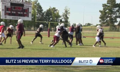 Blitz Preview: Terry Bulldogs