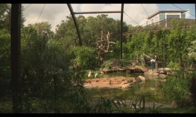 Houston Zoo introduces new "Birds of the World" habitat