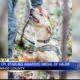 Conservation officer, K9 honored after helping locate three missing Monroe County kids