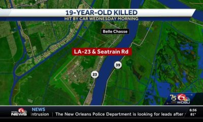 19-year-old struck, killed by car