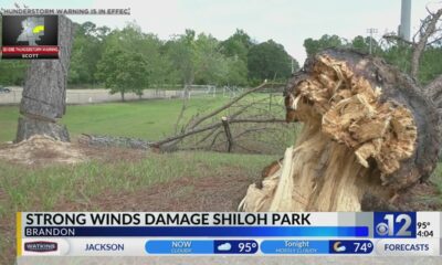 Strong winds damage Shiloh Park in Brandon